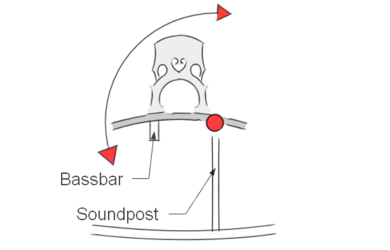 Lingsma electric upright bass - bridgehill.png part of the graph